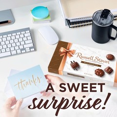 Russell Stover Milk Chocolate Assortment Chocolate Gift Box 9.4 Ounce