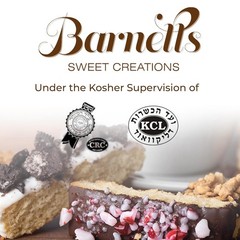 Barnetts Christmas Holiday Thanksgiving 12 Chocolate Biscotti Gift Box, Gourmet