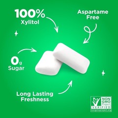 PUR Gum Aspartame Free Chewing Gum 100% Xylitol Natural,55 Pcs (Select Flavor)