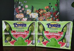 Sour Watermelon Peeps Chicks – Pack of 2 – Easter Basket Stuffer 10 Per Package