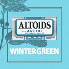 ALTOIDS Arctic Wintergreen Breath Mints Sugar 1.2 Ounce (Pack of 8), White