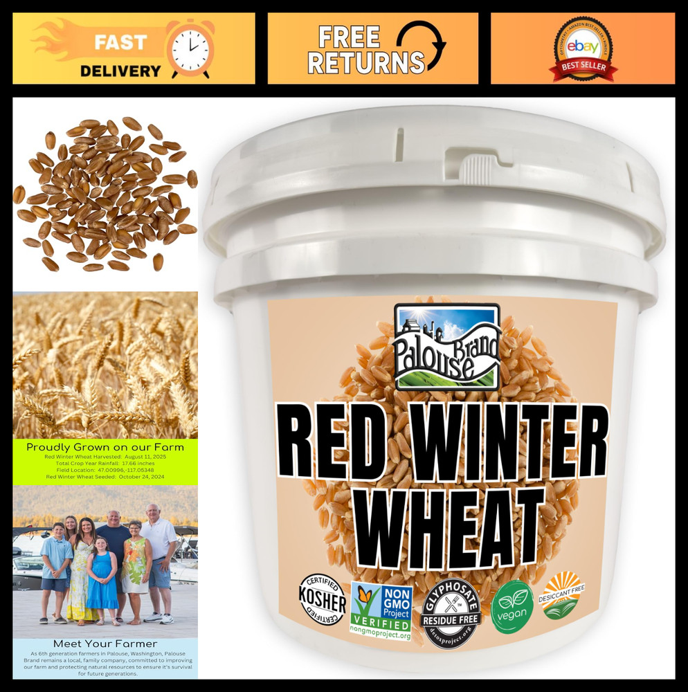 Hard Red Winter Wheat Berries 25 LBS | Non-GMO | Glyphosate Free | Bulk Emergenc