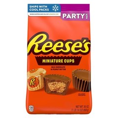 Individually Wrapped 30 oz Milk Chocolate Peanut Butter Cups – Shareable Delight