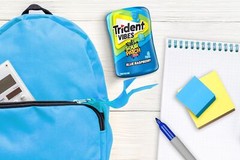 Trident – Vibes Sour Patch Kids Blue Raspberry Chewing Gum – 6 bottles (240 P…