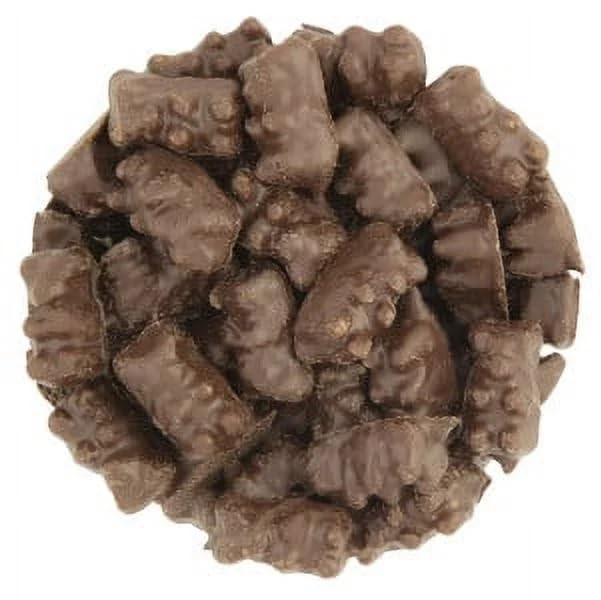 Bayside Candy – Dark Chocolate Covered Gummy Bear Candies