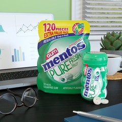 Mentos Pure Fresh SugarFree ChewingGum with 120 Count (Pack of 2), Mint