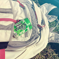 Vibes Spearmint Rush Sugar Free Gum, 6 Bottles of 40 Pieces (240 Total Pieces)
