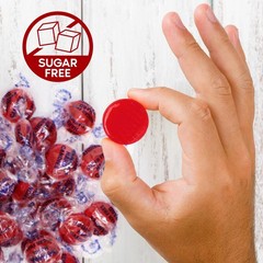 Sugar Free Hot Cinnamon Hard Candy Discs 1 Pound Candies – Approx. 75 Medium