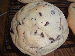 HUGE HOMEMADE HALF POUND CHOCOLATE CHIP COOKIES (CHOICE OF QUANTITY)
