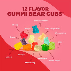 World’S Best 12 Flavor Gummi Bear Cubs | 50-0.5Oz Snack Packs of Candy | Miniatu
