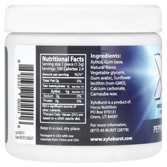 Xylitol Gum, Peppermint, 100 Pieces, 5.29 oz (150 g)