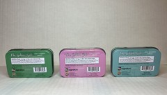 The Golden Girls Stay Golden Mints in Set of 3 Collectible Tins 2022