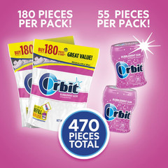 Bubblemint Sugar Free Chewing Gum Bulk Pack, 2 Pack – 180 Piece Bag & 2 Pack – 5