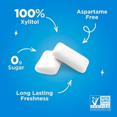 PUR Gum | Aspartame Free Chewing | 100% 55 Count (Pack of 12), Peppermint