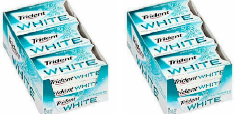 9 Pack Trident White Wintergreen Sugar Free Gum 16 Pieces 2 Pack 288 Total USA