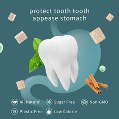 Remineralizing Gum, Mastic Mint, Sugar Free with Xylitol and Hydroxyapatite, …