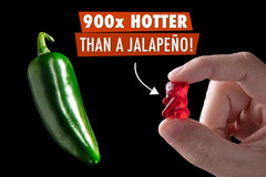 : the World’S Hottest Gummy Bear