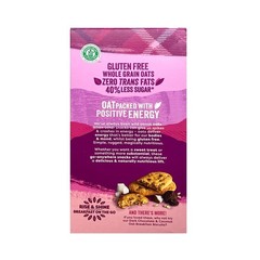 Gluten Free Blueberry and Raspberry Breakfast Biscuits, 5.64oz (Pack of 6)