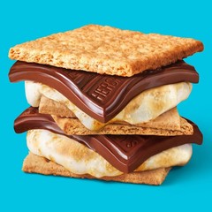 Indulge in Classic Milk Chocolate Candy Bars – Ideal for Movie Nights & Gifts