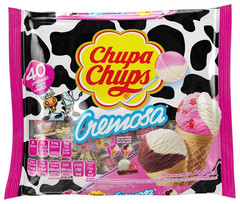 Cremosa Lollipop Assortment, 2 Ice Cream Flavors, Individually Wrapped Candy for