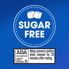 Cinnamon Sugar Free Chewing Gum 24 Packs 14 Pieces Per Pack 336 Total Pieces