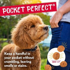 Charlee Bear Dogs Training Treat, Crunchy, Low Calorie, Grain Free Dog Treats, M