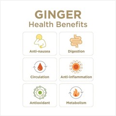 Natural Ginger Candy – Super Strength Individually Wrapped – 1 lb Bag (Pack of