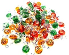 Coastal Bay Fat / SUGAR FREE 16oz Assorted Fruit Flavors Hard Candy 1 One Pound