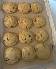 Homemade Chocolate Chip Cookies One Dozen Freshly Baked