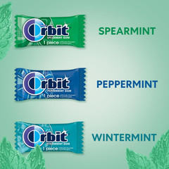 Peppermint, Spearmint, & Wintermint Assorted Sugar Free Chewing Gum Bulk Pack, 1