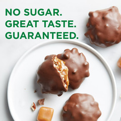 Russell Stover Sugar Free Pecan Delight Chocolate Candy 10 oz Bag Free Ship