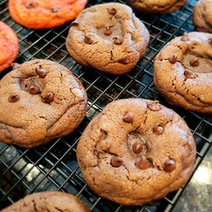Chocolate Chip Cookies – Dark cocoa – Double Chocolate – Homemade – Fresh Baked