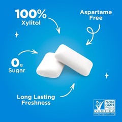 PUR Gum | Aspartame Free Chewing Gum | 100% Xylitol | Natural Peppermint Flavore