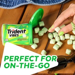 Trident Chewing Gum, Spearmint Rush, 40.0 ea