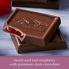 Dark Chocolate Raspberry Squares – 5.32 Oz Bag, Pack of 6 – Gourmet Treats