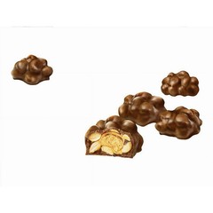 Oh Henry Chocolate Bites, Chocolate Peanut Candy – 200g/7.05 oz (Free Shipping)