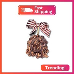 TV’s Deli & Diner Gourmet Jumbo Caramel Apple | Caramel, Toasted Pecans & Dark C