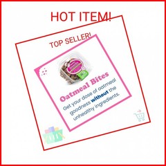 Alyssa’s Gluten Free Oatmeal Cookies – Pack of 4