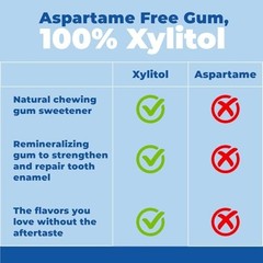 Epic Xylitol Spearmint Sugar Free Chewing Gum 1000 Pieces