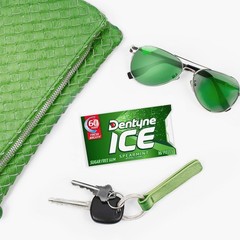 Ice Spearmint Sugar-Free Chewing Gum, 144 Count – Low Calorie Breath Booster