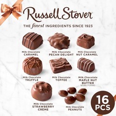 Russell Stover Milk Chocolate Assortment Chocolate Gift Box 9.4 Ounce