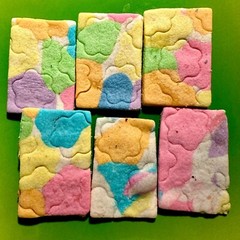 Homemade Gluten Free Rainbow Flower Shortbread Cookies TEA PARTY!