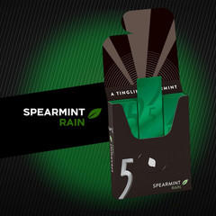 Spearmint Rain Sugar Free Chewing Gum Bulk 15-Stick Box (Pack of 10)