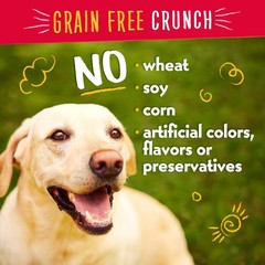 Charlee Bear Dogs Training Treat, Crunchy, Low Calorie, Grain Free Dog Treats, M