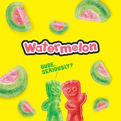 Watermelon Soft & Chewy Gummy Candy, Bulk Candy, 5 lb