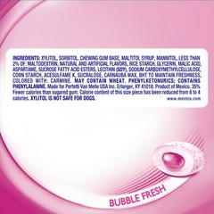 Chewing Gum Sugar-Free Bubble Fresh Flavor 50 Piece Bottle Bulk Pack of 4