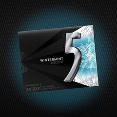 Wrigley’s 5 Gum Wintermint Ascent, 10 Pack