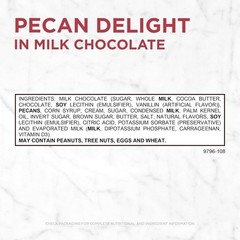 Russell Stover Pecan Delight Gusset Bag 16.10 Ounce Russel Stover Milk Chocol…