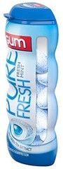 Mentos Gum Pocket Bottle, Pure Fresh Mint, 1.06 OZ Packs (Pack of 20)