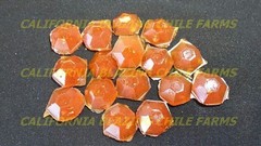 Ghost Pepper Tear Drop Candy ~ Organic Peppers w/ variety of Flavors